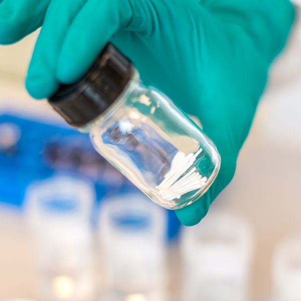 Implants in a laboratory vessel