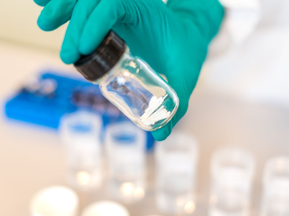 Implantate in Laborgefäß