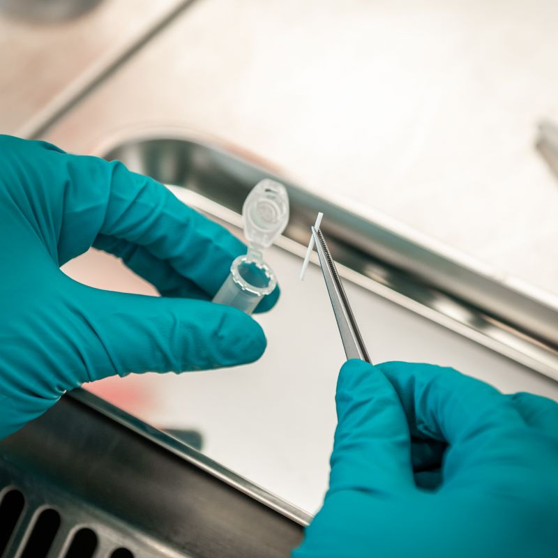 Labormitarbeiter füllt Implantat in Eppendorf-Röhrchen